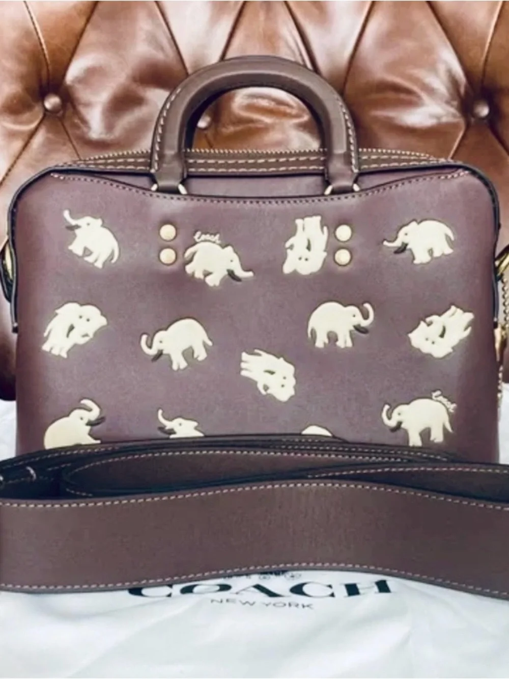 Coach Rogue Slim Brief 25 Elephant print
